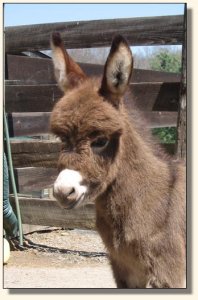 Click photo to enlarge image