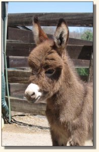 Click photo to enlarge image