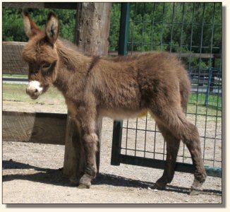 Click photo to enlarge image