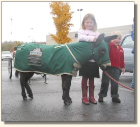 Get those ears up Big Boy!