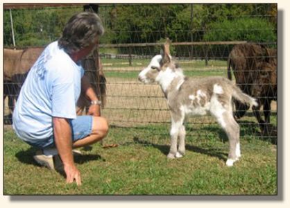 Wit's End Make Me Blush