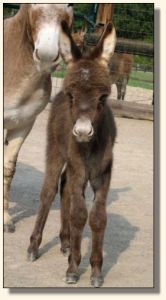 This Bud's For U, aka Buddy