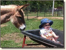 Caity & Rosebud (17,587 bytes)