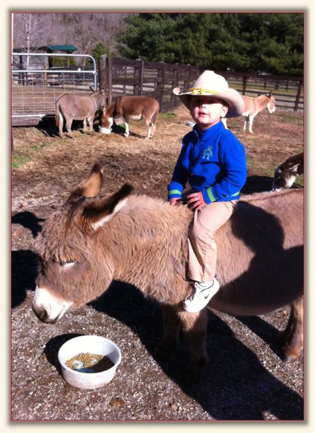 Campbell rides Frenchie!