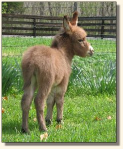 Click photo to enlarge