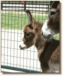 Wit's End Win One for the Gipper