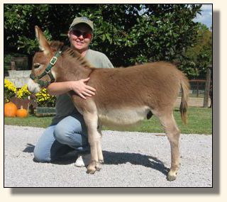 Hoof Prince and his new owner, Ricki