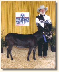 Komotion & Bob at the Tennessee State Fair