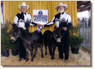 Komotion & Radar winning Matched Pairs