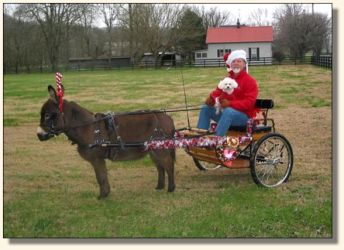 Bob, Charley, and Komotion at the Leiper's Fork Christmas Parade.