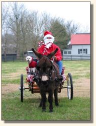Bob, Charley, and Komotion at the Leiper's Fork Christmas Parade.