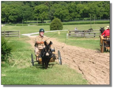 Marathon Finish Line