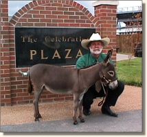 Windcrest Little Skylar (12,406 bytes)