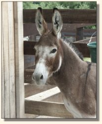 Summer June 20th, 2004