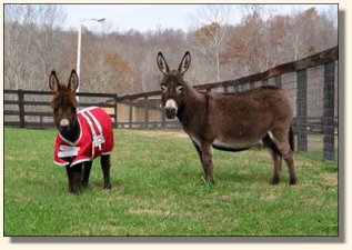 Truffles & mom, Casey