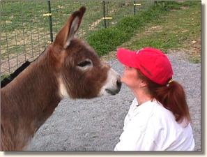 Will gives Sandy a kiss!