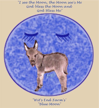 Wit's End Blue Moon!