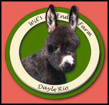 Wit's End Dayle Rio!